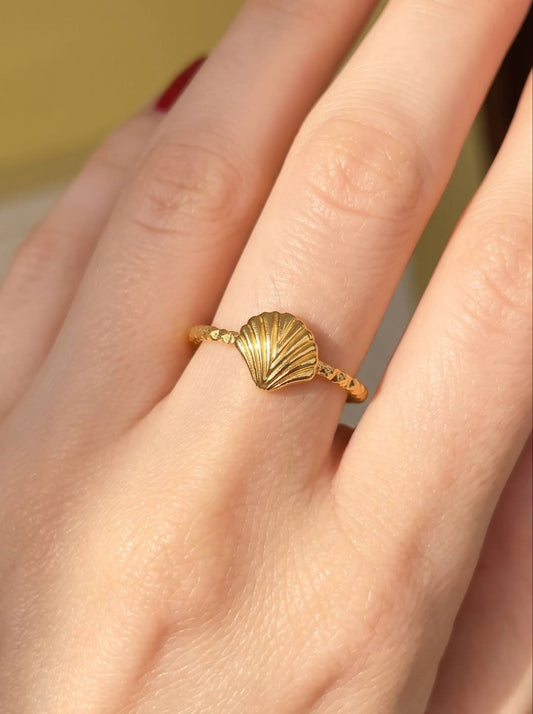 Shell Ring - Stainless Steel