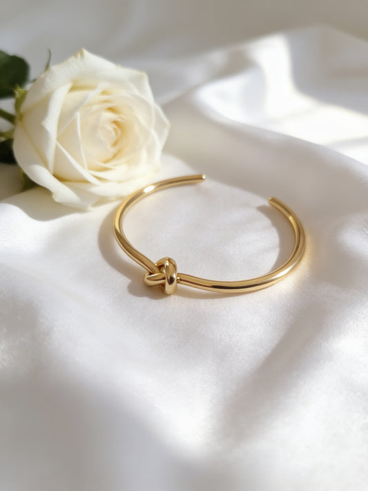 Deniz Bangle - Stainless Steel